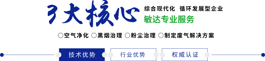 骚逼肉棒视频敏达环保科技（嘉兴）有限公司